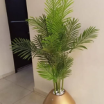 170CM Six Palm
