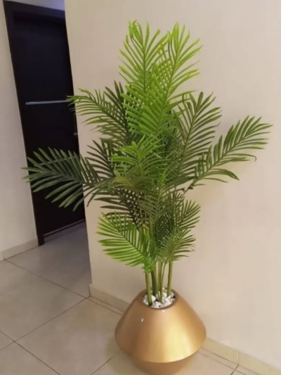 170CM Six Palm