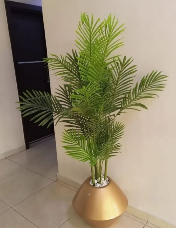 170CM Six Palm