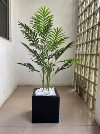 100CM Palm Plant