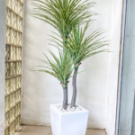 Artificial Yucca