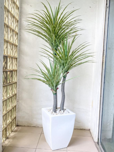 Artificial Yucca