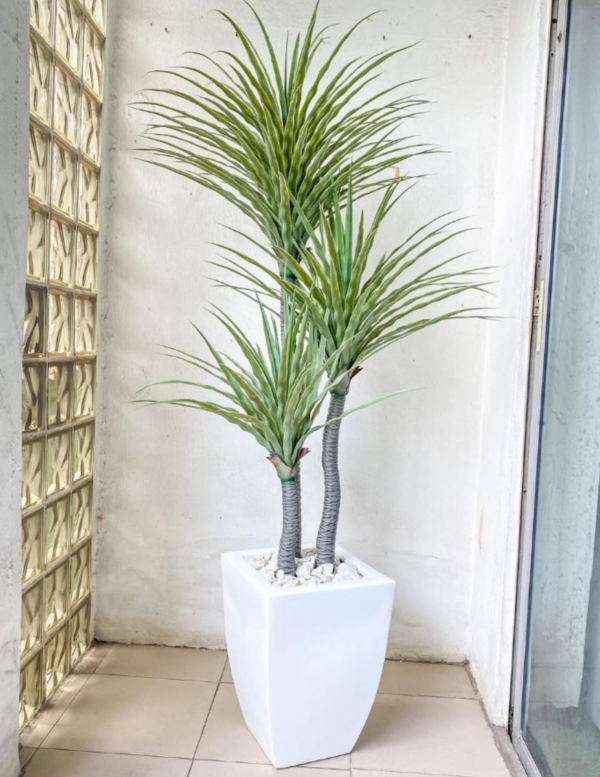 Artificial Yucca