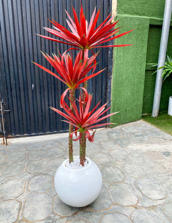 140cm Agave Tree