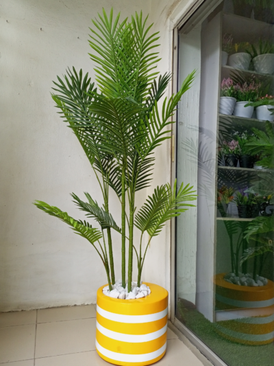 Six Palm Plant