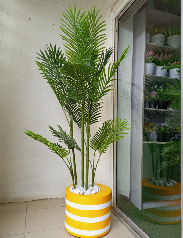 Six Palm Plant