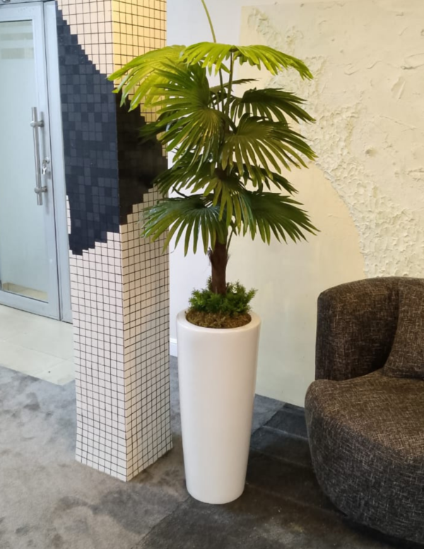 130cm Fan Palm Plant