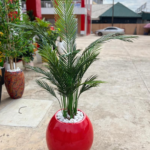 180cm Five Stem Palm