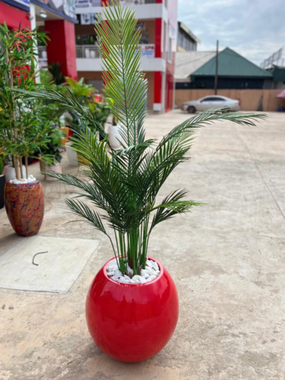 180cm Five Stem Palm