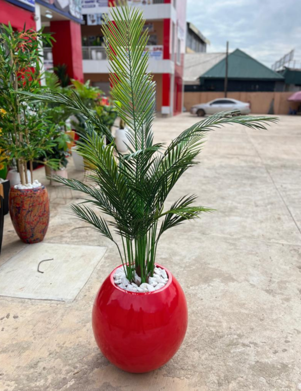 180cm Five Stem Palm