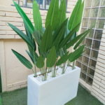 170cm Skybird Plant