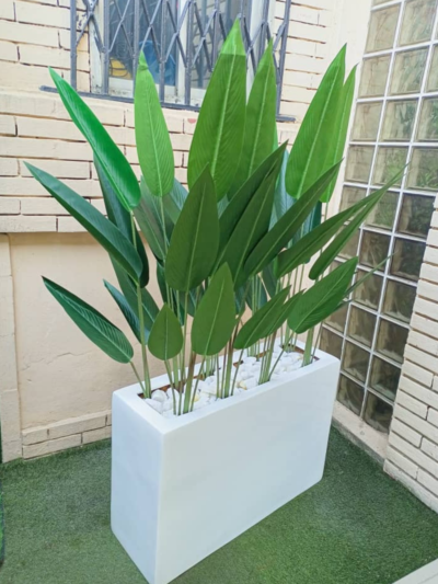 170cm Skybird Plant