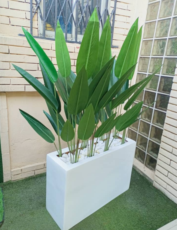 170cm Skybird Plant