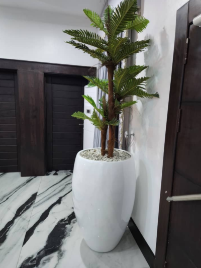 165cm Sheath Palm
