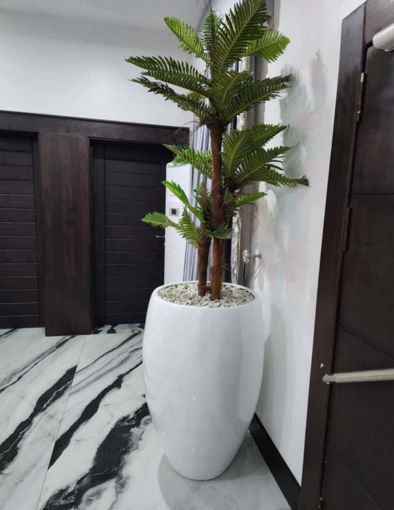 165cm Sheath Palm
