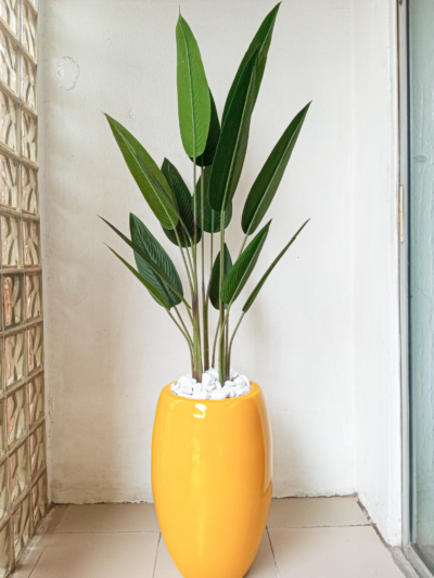 Skybird Plant