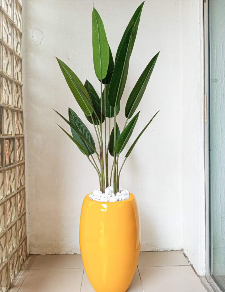 Skybird Plant