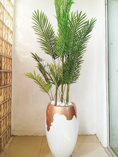 Six Stem Palm