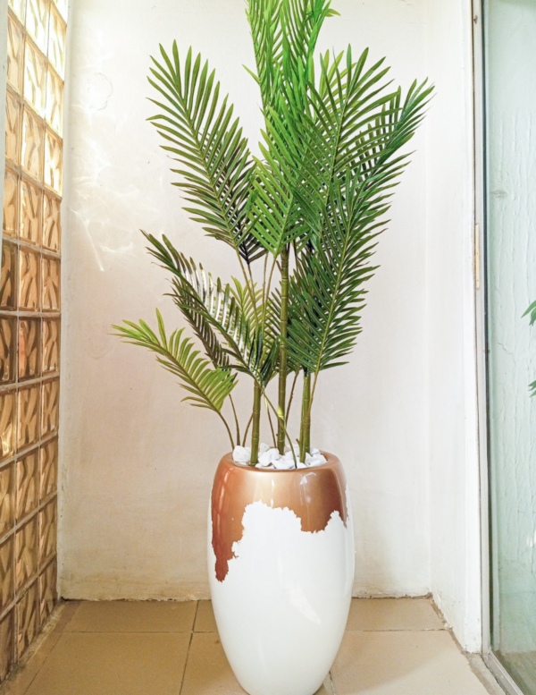 Six Stem Palm