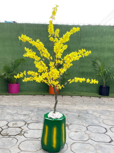 130cm Primerose