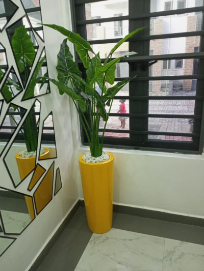 125CM COCO YAM