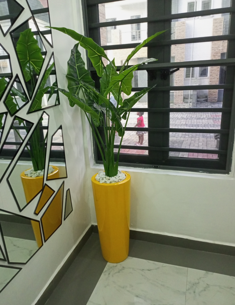 125CM COCO YAM