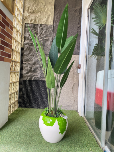 150cm Skybird Plant