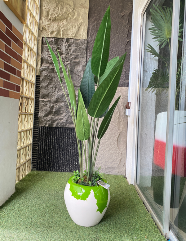 150cm Skybird Plant