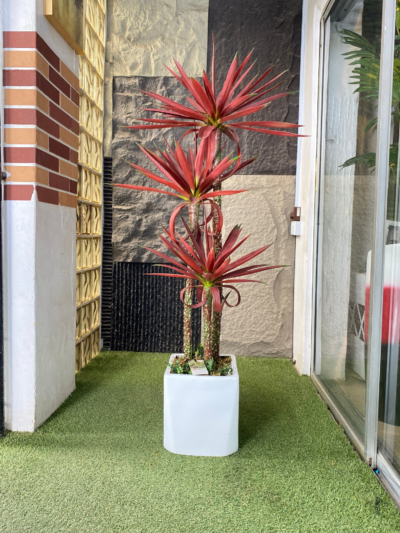 140cm Agave Plant