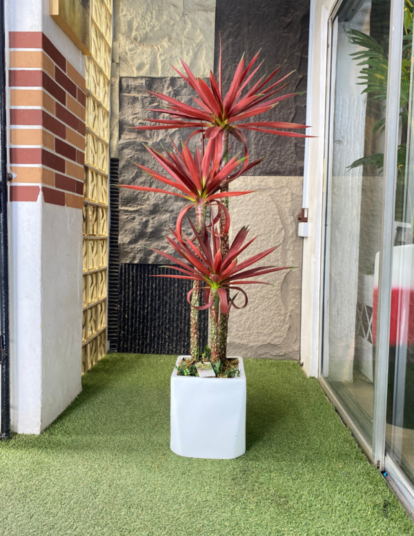 140cm Agave Plant