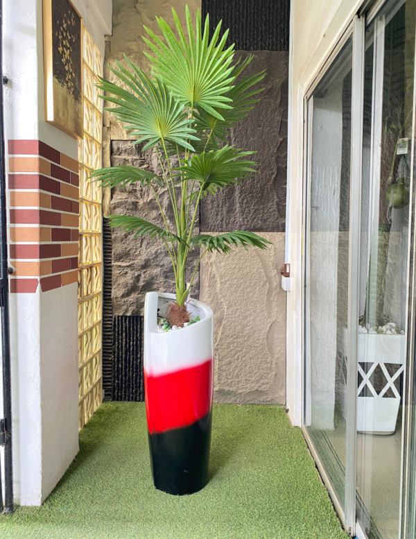 160cm Fan Palm