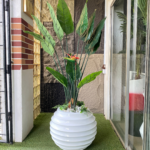 150cm Paradise Bird in a 50cm Ring Fiberglass Pot