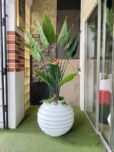 150cm Paradise Bird in a 50cm Ring Fiberglass Pot