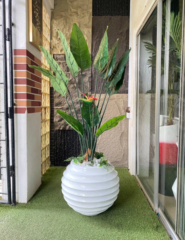 150cm Paradise Bird in a 50cm Ring Fiberglass Pot