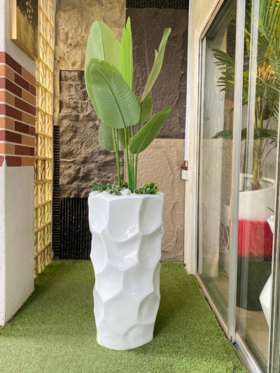 120cm Traveller Banana