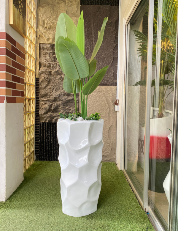 120cm Traveller Banana