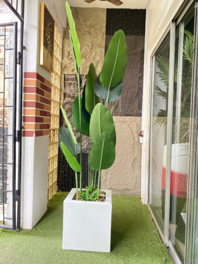 200CM BANANA PLANT