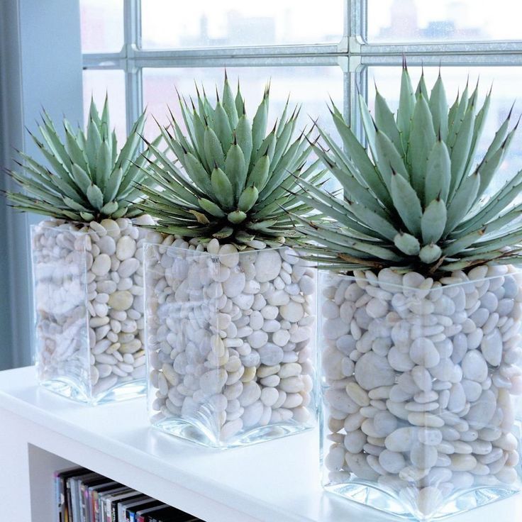 white stones