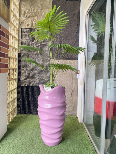 130cm Fan Palm