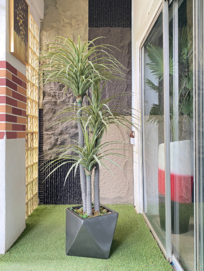 180cm Yucca Plant