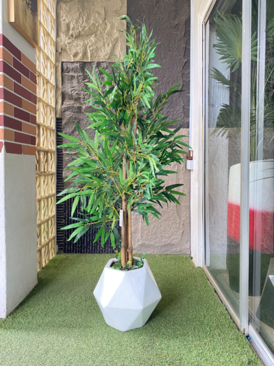 150cm Bamboo Plant