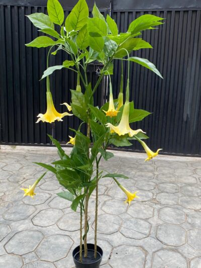 Artificial Datura Tree