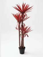Artificial Agave Plant 140cm with Red Leaves – 3 Trunks and Potting Vase