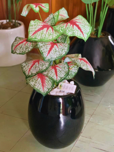 Artificial Mini Potted Plant