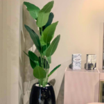 Skybird Plant in Egg Classic Vase