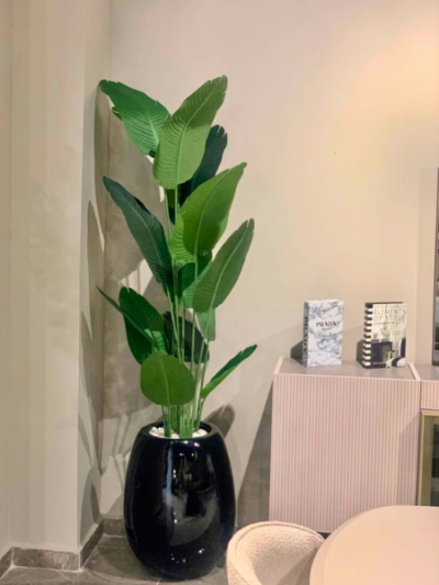 Skybird Plant in Egg Classic Vase