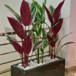Artificial Skybird Plants