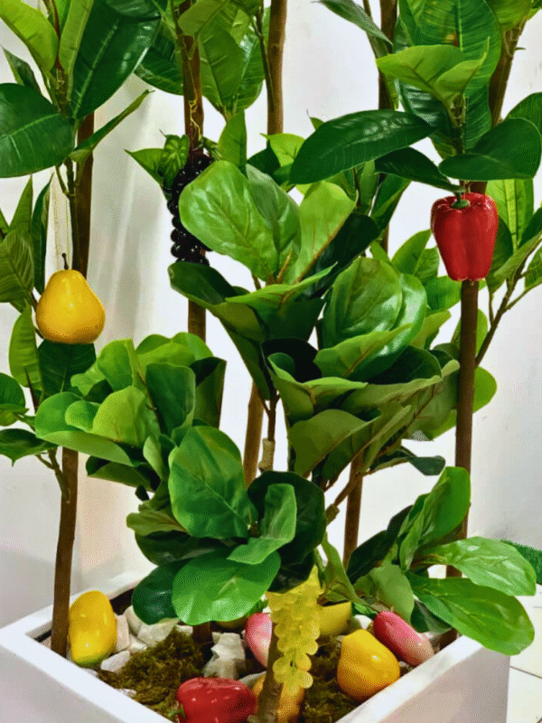 Fiddle Tree in Square Vase