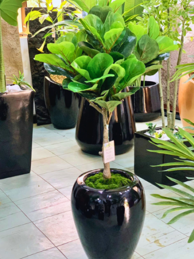 Artificial Fiddle Leaf Tree