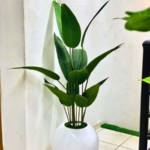 Artificial Skybird Plant